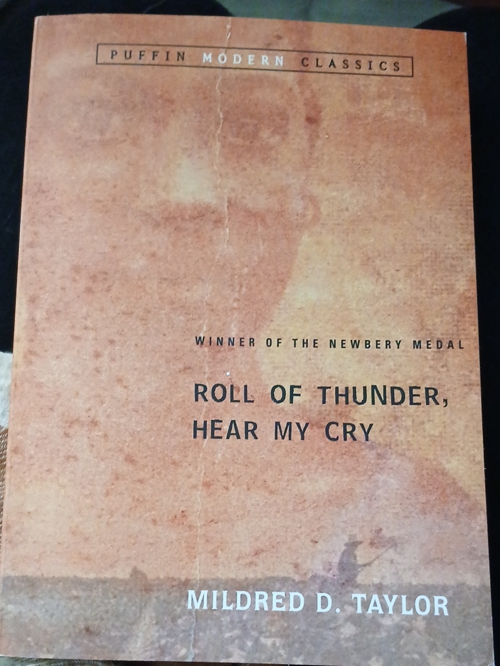 Roll Of Thunder, Hear My Cry